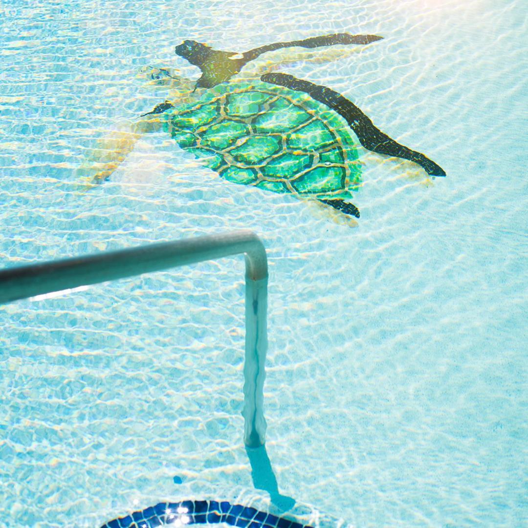 Sea Of Cortez Beach Club San Carlos Nuevo Guaymas Екстериор снимка
